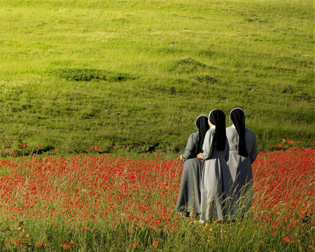 A beautiful view of three nuns in a poppy fieldの写真素材