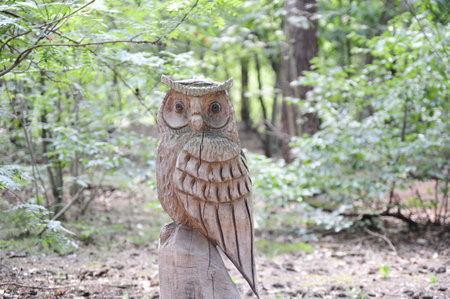 A beautiful shot of a wooden carved owl figurine in a forestの写真素材