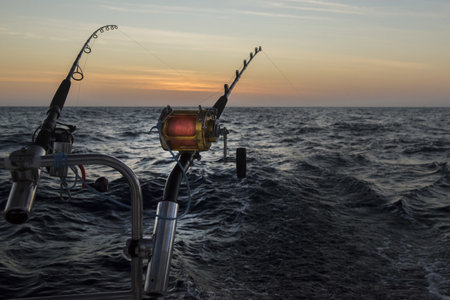 A closeup of two fishing rods on a seaside sunset backgroundの写真素材