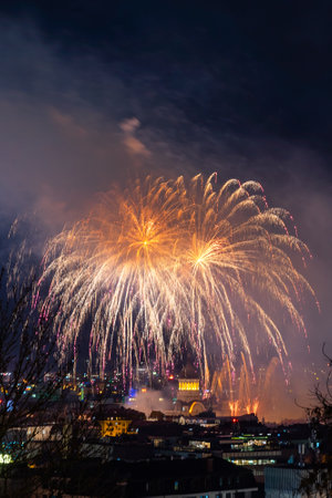 A vertical shot of colorful fireworks above a city with lights at nightの写真素材
