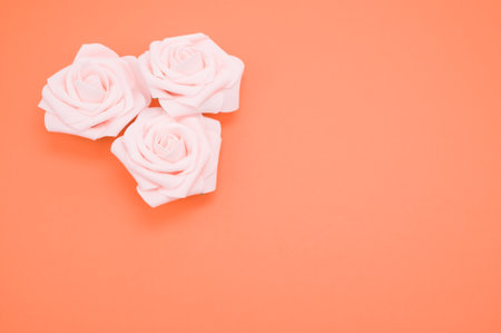 A closeup shot of pink roses isolated on a coral background with copy spaceの写真素材
