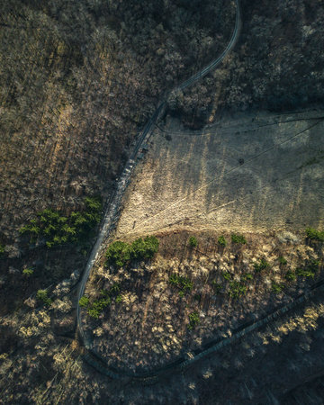 An aerial view of the road surrounded by rocks and treesの写真素材