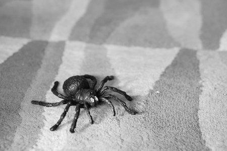 A closeup shot of a toy spider on a carpetの写真素材