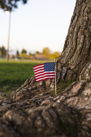 A vertical closeup shot of the flag of the USA on the bottom of a tree trunkの写真素材