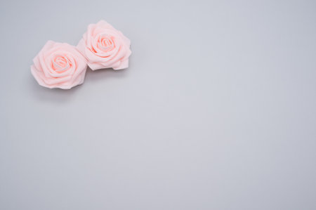A closeup shot of two pink roses isolated on a blue background with copy spaceの写真素材