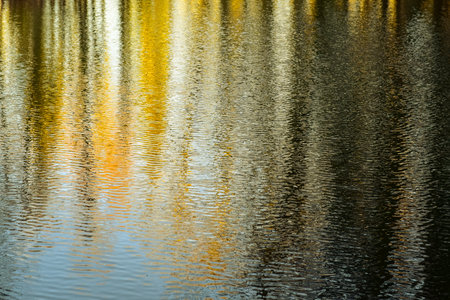 A closeup shot of a reflection of the forest in the water