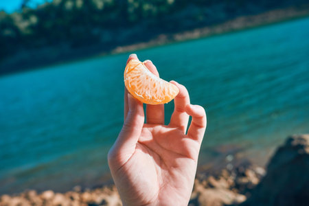 A person holding a juicy peeled tangerineの写真素材