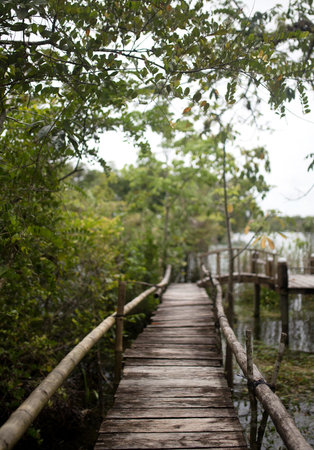 A beautiful vertical picture of a wooden bridge next to the greenery in  Guatemalaの写真素材