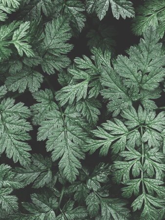 A vertical shot of green leaves of plants with dewdrops perfect for backgroundの写真素材