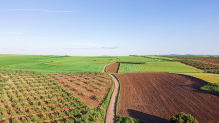 An aerial view of vast farmland with a country road on the middleの写真素材