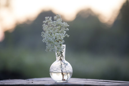 A shallow focus of Baby's breath flowers inside a clear glass vase on a wooden tableの写真素材