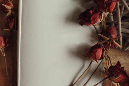 A top view of copy space decorated with dried flowersの写真素材