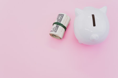A high angle shot of dollar bills and a piggy bank on a pink surfaceの写真素材