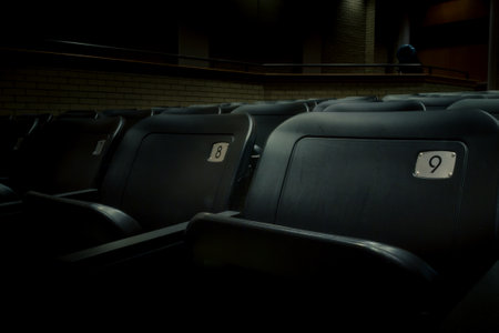 Rows of numbered theatre seats in a dark empty theater/auditorium.