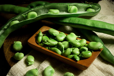 A closeup of fresh raw broad beans in the pods and a pile of beans in the wooden dish