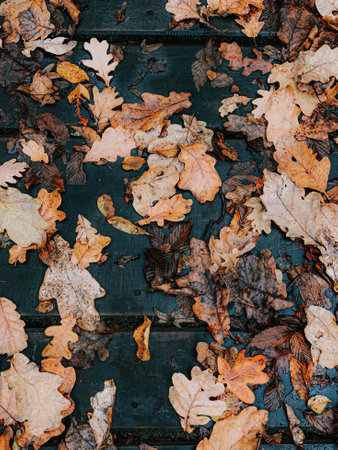 A vertical shot of wet autumn leaves on the floorの写真素材