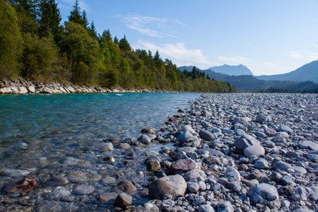 A low angle closeup of the river from National Park in Washington, USA