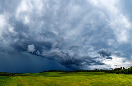 A mesmerizing view of fresh green fields under a cloudy sky
