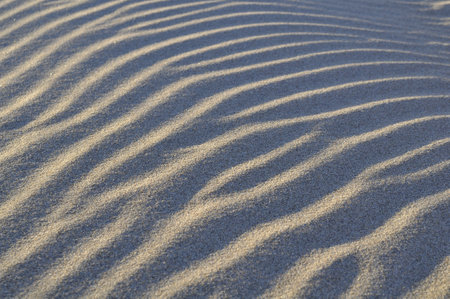 A closeup shot of a sand texture under the sunlightの写真素材
