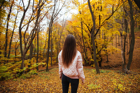 A back view of a young female in the autumn parkの写真素材