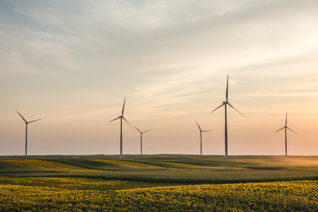 A closeup shot of beautiful sunflowers and wind turbines in a fieldの写真素材