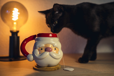 A closeup shot of a Christmas cup with Santa head, a black cat with a lamp on a blurred backgroundの写真素材