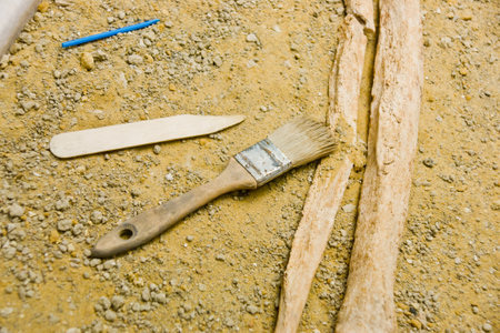 A closeup shot of archaeology tools on the floor