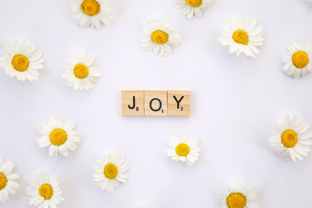 A flat lay image featuring the text joy in wooden letters on a white background surrounded by daisiesの写真素材