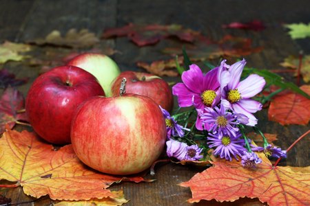 A beautiful autumn still life of leaves, flowers and applesの写真素材
