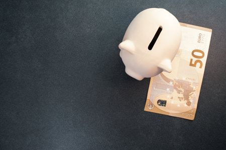 A top view of pig cashbox on a 50 Euro banknote - concept of saving moneyの写真素材