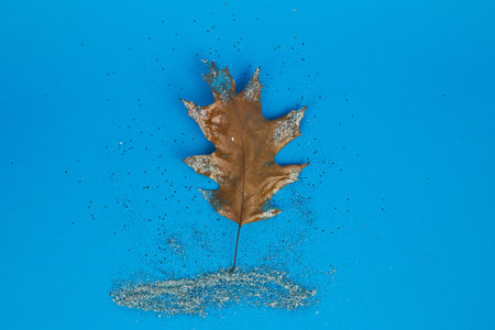 A top view of a dried autumn leaf on a blue backgroundの写真素材
