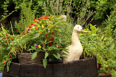 A closeup shot of a decorative duck and flowers in a wooden barrel in the gardenの写真素材