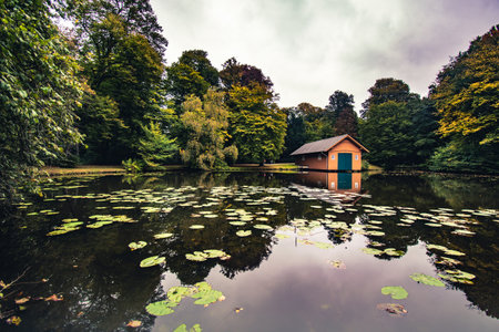 A majestic early autumn view of a wooden cabin by reflective pond water with lily pads in Burger Park, Germanyの写真素材