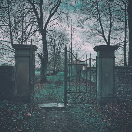 A mysterious view of an antique metal gate with autumn bare trees and fallen dry foliageの写真素材