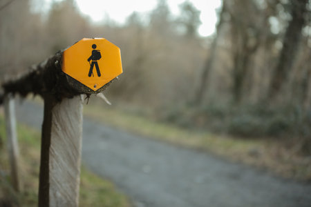 A closeup shot of a yellow sign in the forestの写真素材