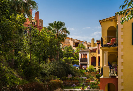 The beautiful small colorful buildings and palm trees in Majorca, Spainの写真素材