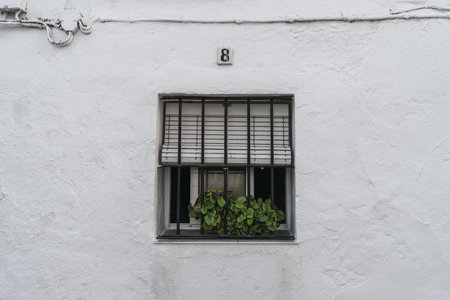 A closeup of a white wall with a window with bars and plants on the windowsillの写真素材