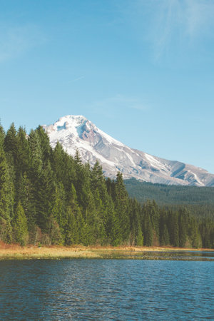 A vertical shot of the mesmerizing landscape by the lake with the snowy mountain in the background
