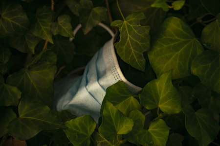 A closeup vertical shot of a used face mask among summer tree branchesの写真素材