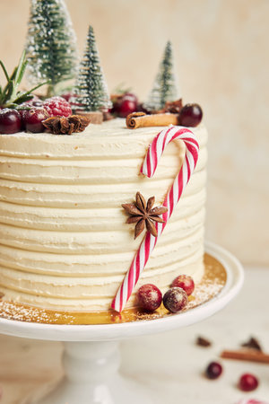 A vertical closeup of a Christmas cake with anise and berriesの写真素材