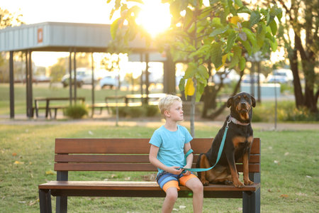 A shallow focus shot of a little blond boy with a brown dog on a wooden benchの写真素材