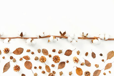 A closeup shot of autumn leaves and conifer cones, cotton plants on white backgroundの写真素材