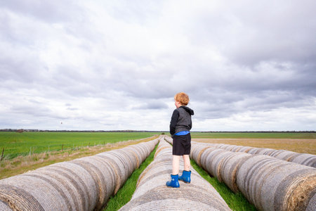 A blonde child standing on a long row of round hay bales on overcast day - childhood on the farmの写真素材