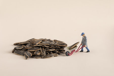 A closeup shot of a miniature labor figure on a pile of sunflower seedsの写真素材