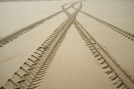 The intersecting traces of a tractor on the sandの写真素材