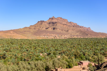 A shot of Tizin -Tinififft, Tamnougalt, Moroccoの素材 [FY310208604226]