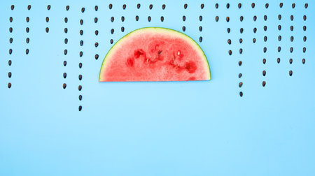 A top view of sliced watermelon with seeds raining isolated on a light blue surfaceの写真素材