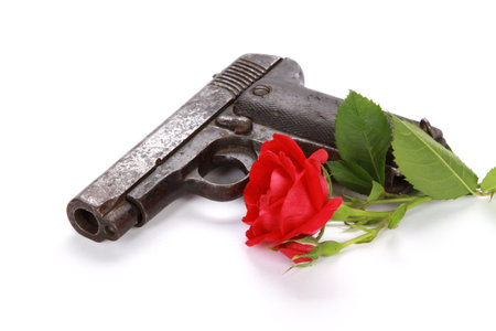 A closeup shot of a gun and a red rose isolated on a white background