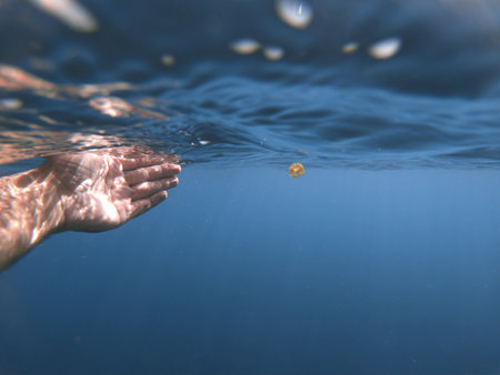 A closeup shot of a diver's hand trying to catch a small jellyfish underwaterの写真素材