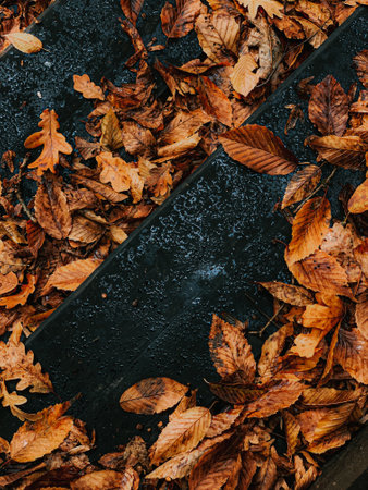 A top view shot of Autumn leaves on a wooden surfaceの写真素材